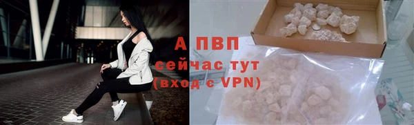 гидропоника Белоозёрский