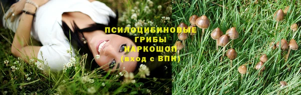 мескалин Балахна