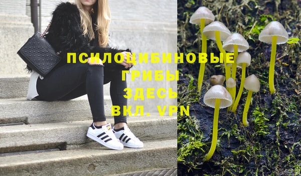 гидропоника Белоозёрский