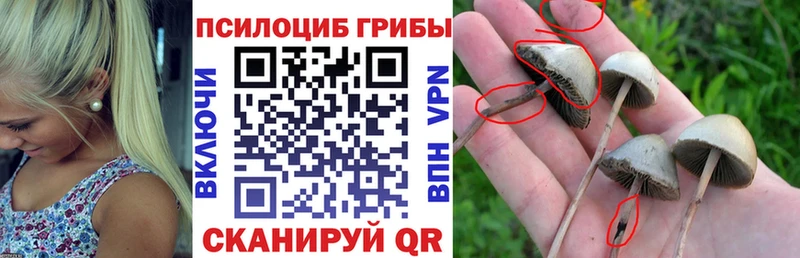 Галлюциногенные грибы ЛСД  сайты даркнета формула  Верхняя Салда 